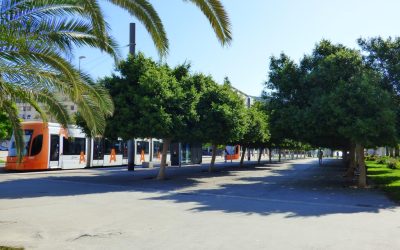 001-1-zona